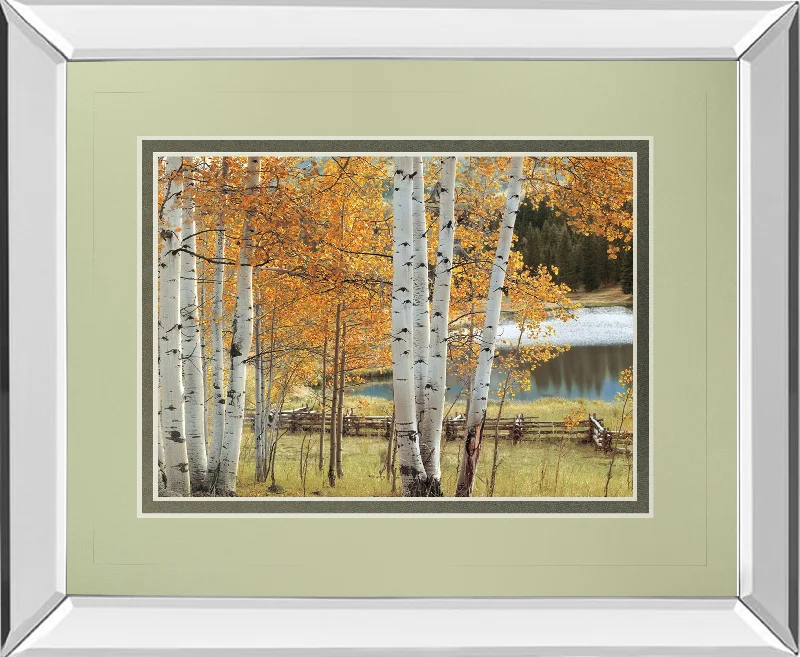 Birch Beauty By Mike Jones - Mirror Framed Print Wall Art - White