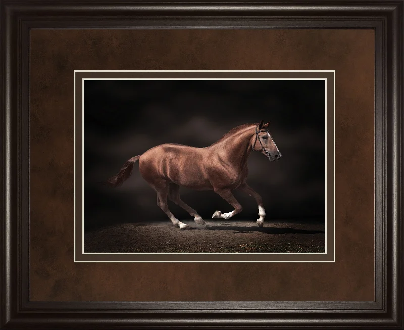 Stallion On Black By Edoma Photo - Framed Print Wall Art - Dark Brown