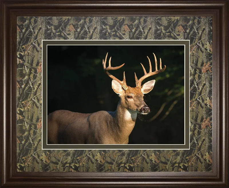 White Tail Buck By Tony Campbell Double Matted - Framed Print Wall Art - Black