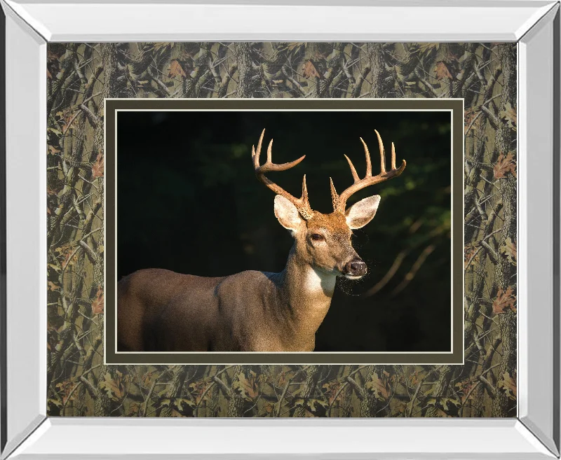 White Tail Buck By Tony Campbell Double Matted - Mirror Framed Print Wall Art - Black