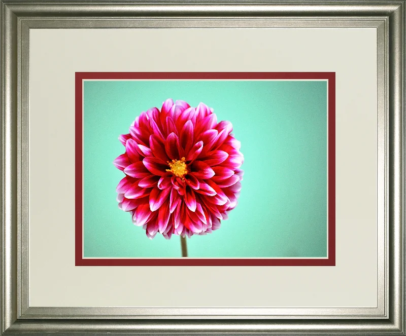 Zenia By Gail Peck - Framed Print Wall Art - Pink